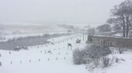 The Beast from the East hits Norfolk Coast