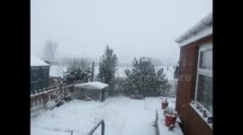 Snow In My Back Garden.
