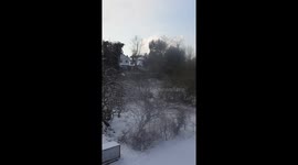 Snow in garden and allotments London garden