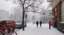 City Road Snow Joy