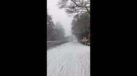 Beast from the East