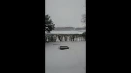 Beast from the east