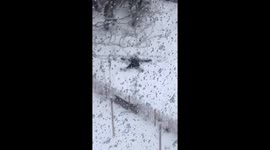 Beast from the East - Glasgow - snow angel