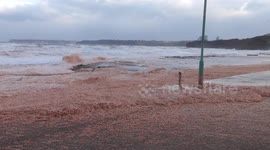 4K - Wierd orange sea foam covers the beach in Devon
