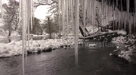 Beautiful 10-ft icicles form in Cumbria riverside