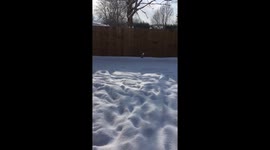 Snow