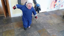 Alaskan Malamute Puppy Steals Toddlers Boot
