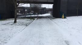 Birds feeding under a bridge in London during the cold snap