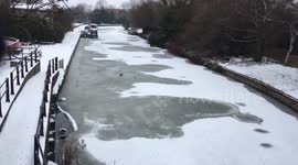 Birds trying to feed through the ice on a frozen river in London