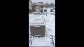 Snowy Devon part 2