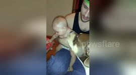 Newsflare Edit - Granddaughter tries to eat the dog