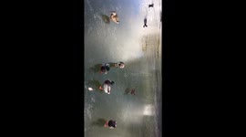 Skating duck