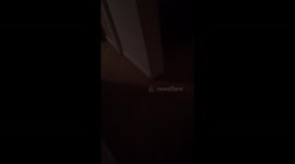 Little girl throwing tantrum falls down
