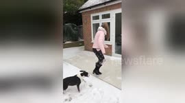 Newsflare Edit - I RAN LIKE FROZONE ????????   #Incredibles2 #icefall #SNOWMAGGEDDON #frozen #Leveson #QAnon #MemeDay https://t.co/bXukKD1Kyt