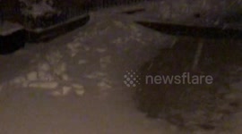 Labrador having fun in the snow from beast of the east.