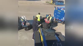 Newsflare Edit - Airport baggage handling
