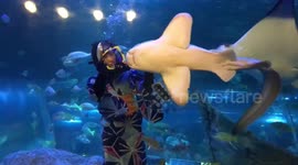 Japanese Girl Feeding the Shark
