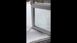 Storm Emma!!! Snow has definitely arrived in Cardiff