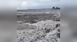 Firth of Tay partially freezes during monster storm