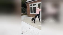 Woman slips on ice trying to open back door