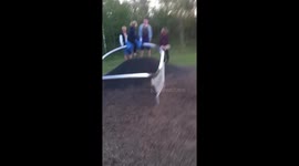 Why adults shouldn’t use kids play areas