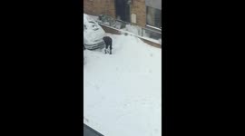 Man digs out car from snow with a FRYING PAN