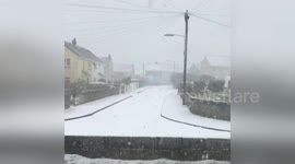 Newsflare Edit - Snowing Heavy