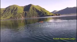 Deer rescue