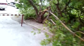 Очевидцы урагана 12,07,2014 в Новосибирске. Последствия.