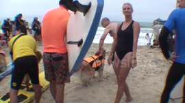 Surf Dog Roo-Unleashed Imperial Beach 2014