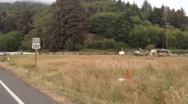 An Unexpected Elk Sighting