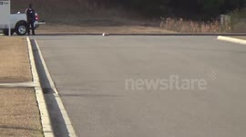 RC car crashes into man's leg