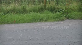 Thunderstorm Torrential Rainfall & Road Flooding - July 24th 2014