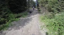 crash
