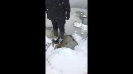 Beast from the east freezes Cornish lake