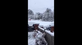 Santa skiing down the street