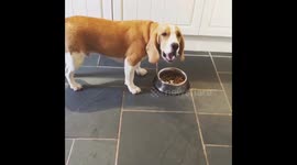 When you’ve finished your dinner but your friend still is eating there’s!