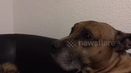 Sad because the mom is gone