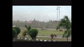 It was 06 October 2017, locusta migratoria locusta attack to Umbu Mehang Kunda airport, Sumba Tiimur district, NTT, Indonesia ...