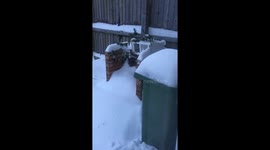 Winter Wonderland in Cardiff after The Beast From The East