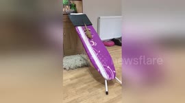 Newsflare Edit - Sassy Full Throttle