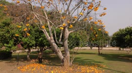 Hot season begins in Thailand