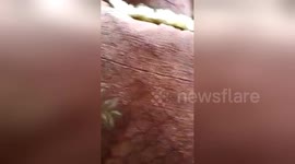 Newsflare Edit - Rocky Balboa - Jesus Cristh