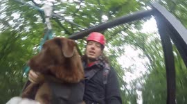 Labrador fly's down from Deathride with 60Km/h.