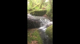 Beautiful Waterfall