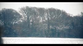 The Beast From The East