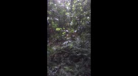 The Heart of the Earth