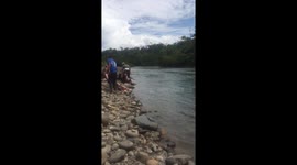 Resting on the banks of the Amazon
