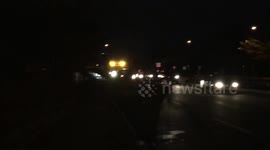 Massive Fallen Tree Blocks Traffic