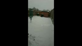 French Bulldog Loves The Snow